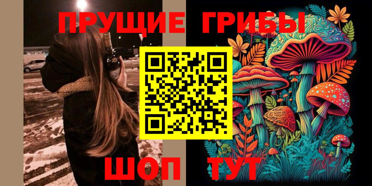 Псилоцибиновые грибы Psilocybe Красноярск